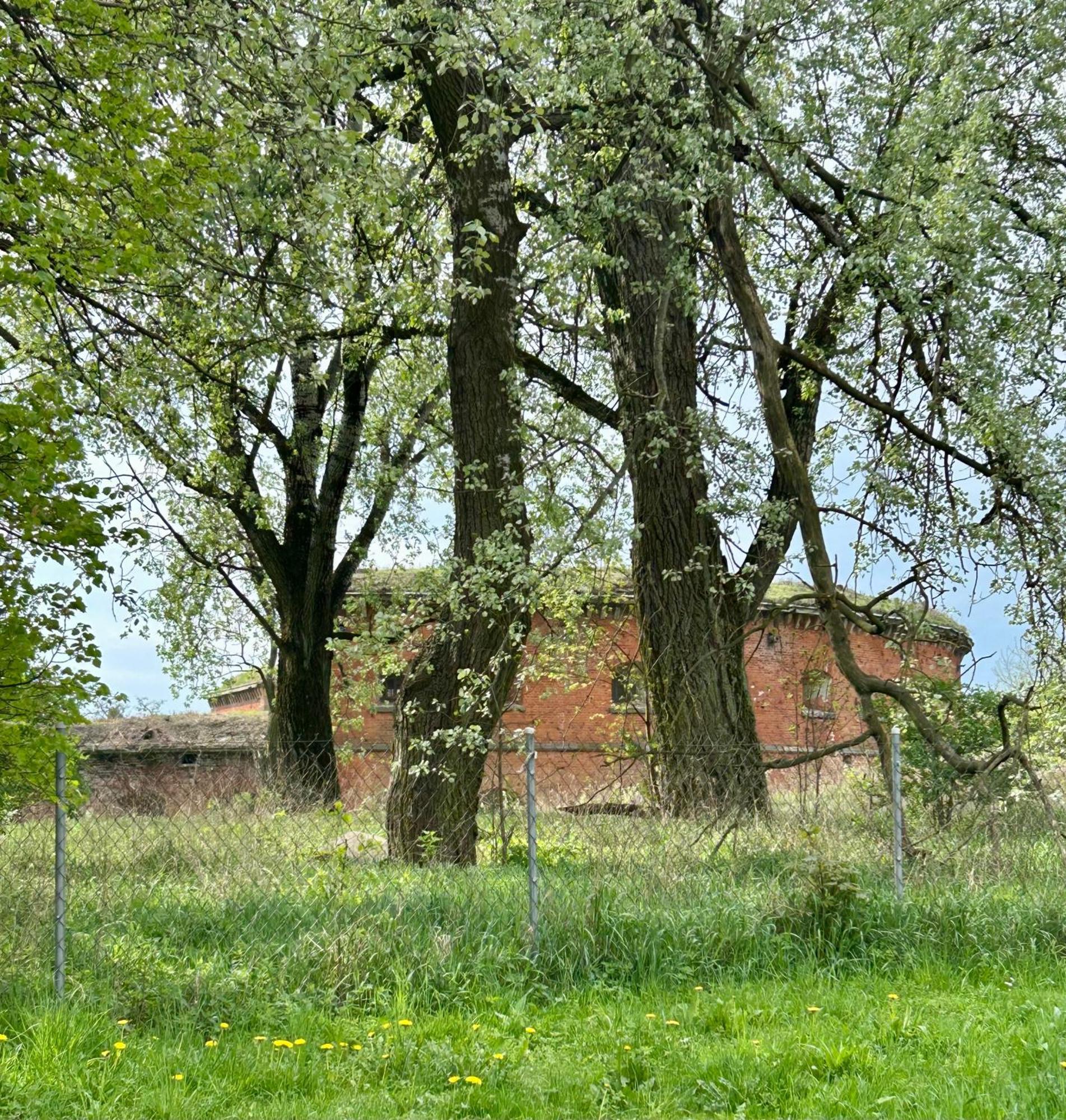 Studio Modlin Nowy Dwór Mazowiecki Exterior foto